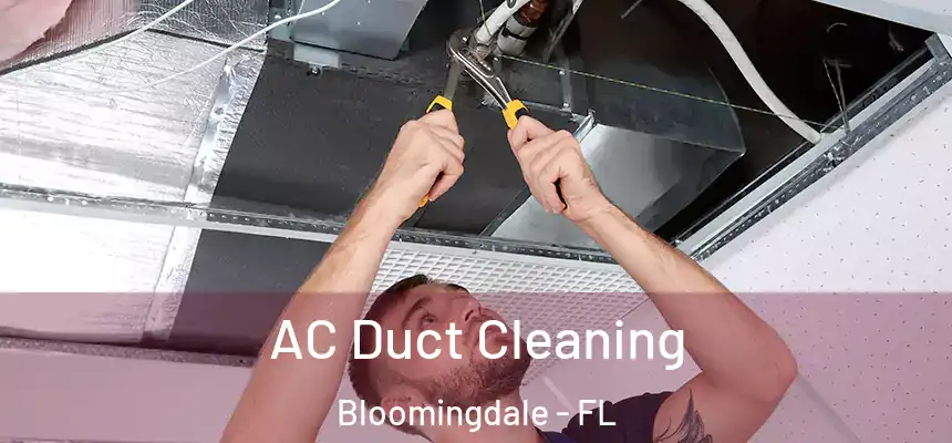 AC Duct Cleaning Bloomingdale - FL