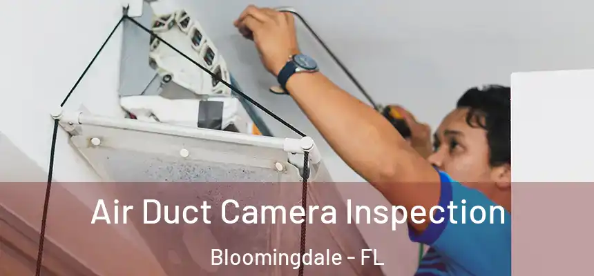Air Duct Camera Inspection Bloomingdale - FL