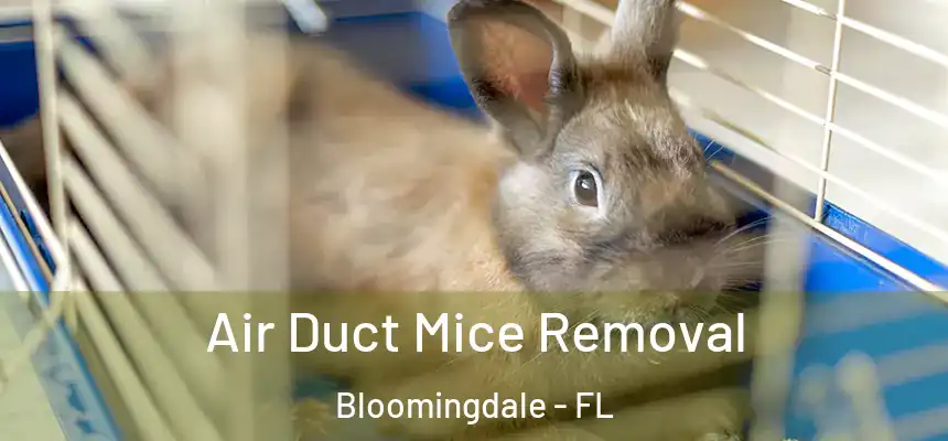 Air Duct Mice Removal Bloomingdale - FL