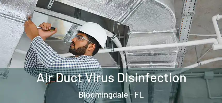 Air Duct Virus Disinfection Bloomingdale - FL