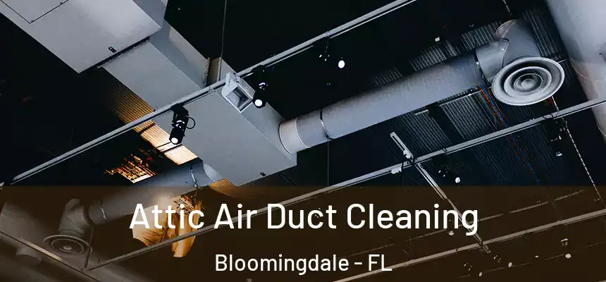 Attic Air Duct Cleaning Bloomingdale - FL