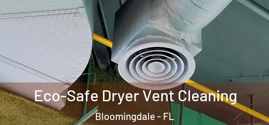 Eco-Safe Dryer Vent Cleaning Bloomingdale - FL