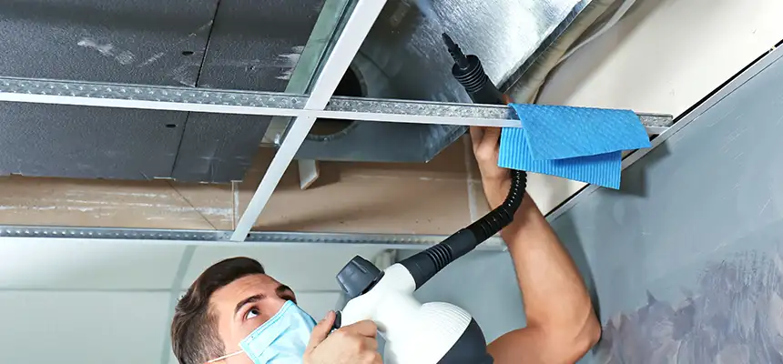 Our Air Duct Rodent Removal Services in Bloomingdale, FL