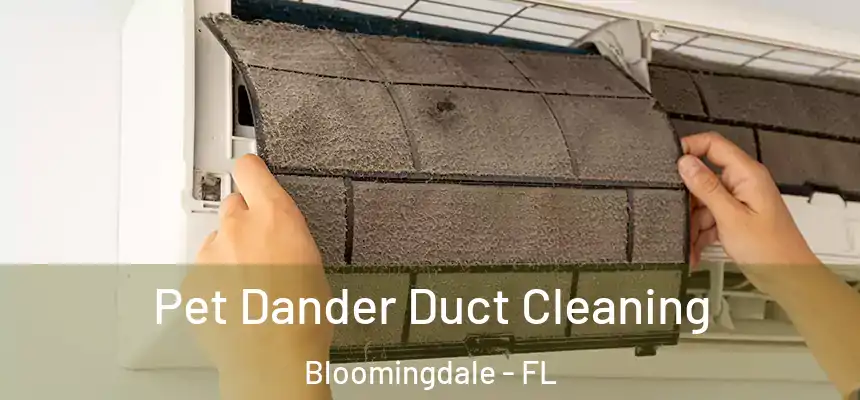 Pet Dander Duct Cleaning Bloomingdale - FL