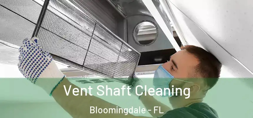 Vent Shaft Cleaning Bloomingdale - FL
